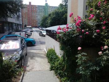 Dominant Studio Hostel with Free Parking for Preregistered Drivers & Garage with CCTV, Братислава (фото 5)