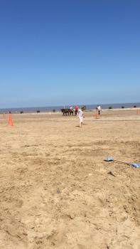 Pine drive, Mablethorpe (foto 4)