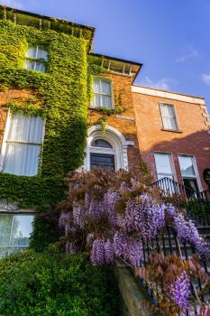 Butlers Townhouse, Dublín (foto 4)