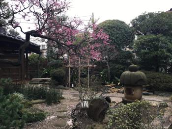 Mokkoan, Tokio (Foto 5)