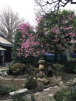 Mokkoan, Tokio (Foto 4)