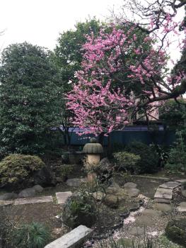 Mokkoan, Tokio (Foto 3)