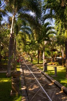 Oasis, Amed (photo 3)