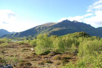 Haugteig, Lyngværet (foto 5)