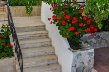 Kalypso, Agia Galini (foto 5)