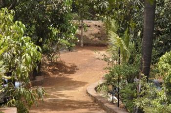 Shilaj, Dapoli (photo 4)