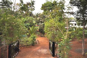 Shilaj, Dapoli (photo 3)