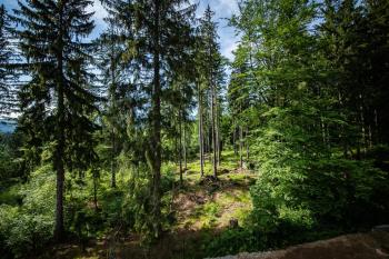Villa Obis, Szklarska Poręba (photo 5)