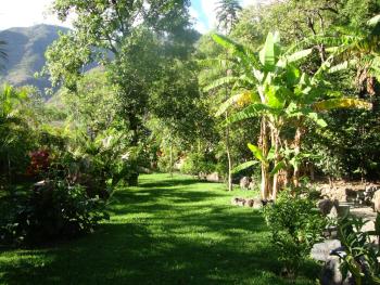 Villa Eggedal, Santa Cruz La Laguna (photo 5)