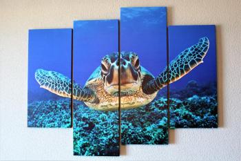 Tortuga Flat, Alicante (photo 5)
