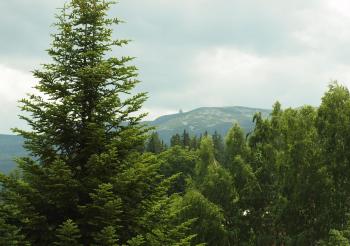 Aura, Szklarska Poręba (photo 5)