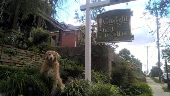 Gaslight Bed & Breakfast, Cincinnati (foto 3)