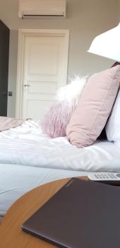 Greystone Suites & Apartments, Riga (photo 3)