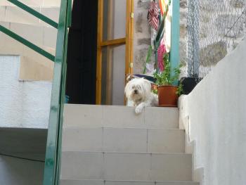 Cosy accommodation in the center of Split, Split (photo 4)