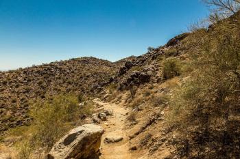 Esplendora, Tucson (photo 5)