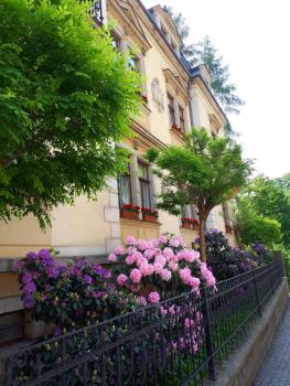 Gästehaus Loschwitz, Dresda (foto 4)
