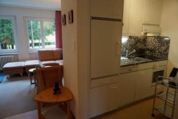 Paradies 001, Arosa (photo 3)