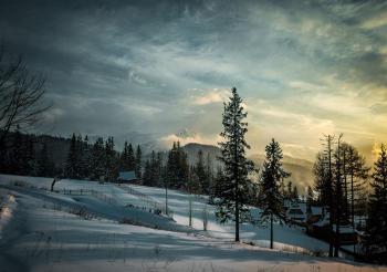 Apartamenty Toporowa Cyrhla, Zakopane (photo 2)