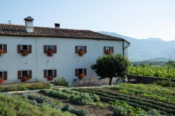 Majerija, Vipava (Foto 2)