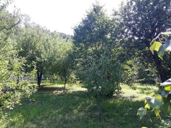 Котедж Лісовий затишок, Glubokoye (photo 2)