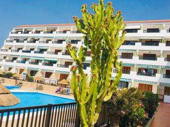 Atlantic View - quiet, peaceful and windless apt with fantastic ocean view, Costa Del Silencio (photo 2)