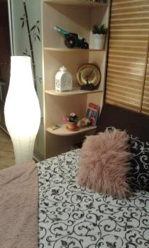 Апартаменты-студио, Izmaïl (foto 5)