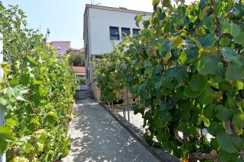 Bozena, Zara (Zadar) (foto 2)