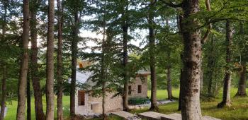 Green Forest, Žabljak (Foto 2)