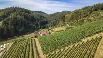 Steinhof, Oberkirch (foto 4)