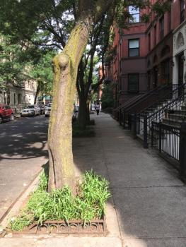 NYC Townhouse Apartment, New York (foto 4)