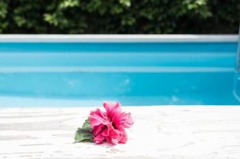 Mango Cottage with AC, Unlimited Wifi and Private pool, Rarotonga (foto 3)