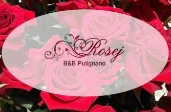 Rosej Bed & Breakfast Putignano, Putignano (photo 3)