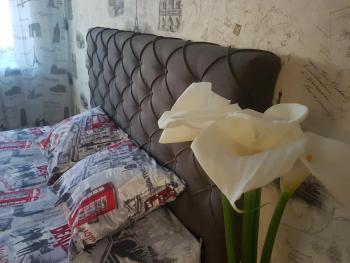 43 Квартира, Белая Церковь (фото 3)