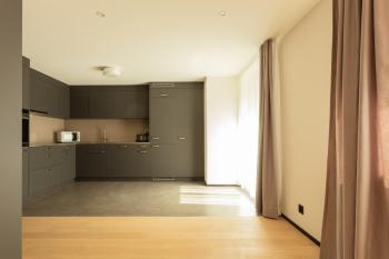 EMA House Serviced Apartments Superior Downtown, Zürich (photo 5)
