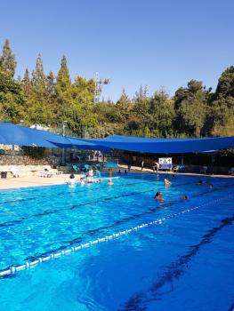 Bloom's Studio הסטודיו של בלום, Amirim (zdjęcie 3)