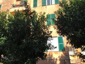 House Nervi by Holiday World, Janov (fotografie 5)
