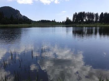 RELAX aпартаменти, Смолянски езера, вила ВЕНЕРА, к-с Маунтин Лейк, Smolyan (foto 5)