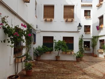 El Patio De La Aljama, Кордова (фото 5)