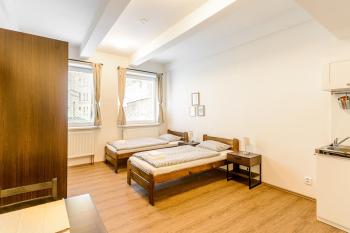 Žižkov Cosy Studio Apartments, Прага (фото 5)