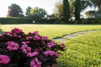 Borgo Villa Risi, Sienne (photo 5)