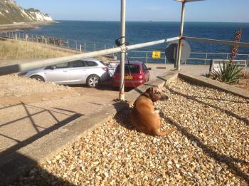 Angels Corner, Ventnor Bay, Ventnor (zdjęcie 5)