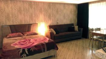 Comfortable studio apartment, near the metro station, Tbilisi City (photo 3)