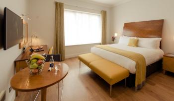 PREMIER SUITES Dublin, Leeson Street, Dublin (Foto 3)