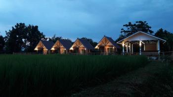 ฮ้างนาตาจันทร์, Pua (foto 2)