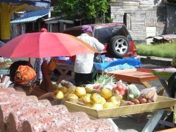Palm View, Laborie (foto 4)