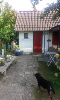 Das kleine Ferienhaus, Berlin (Foto 3)