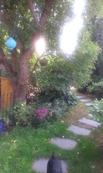 Das kleine Ferienhaus, Berlin (Foto 5)