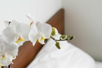 Smarthotel Tromsø, Tromsø (photo 5)