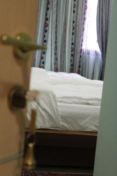 Hotel Piemonte, Tirana (photo 2)