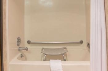 Quality Inn & Suites Detroit Metro Airport, Romulus (fotografie 3)